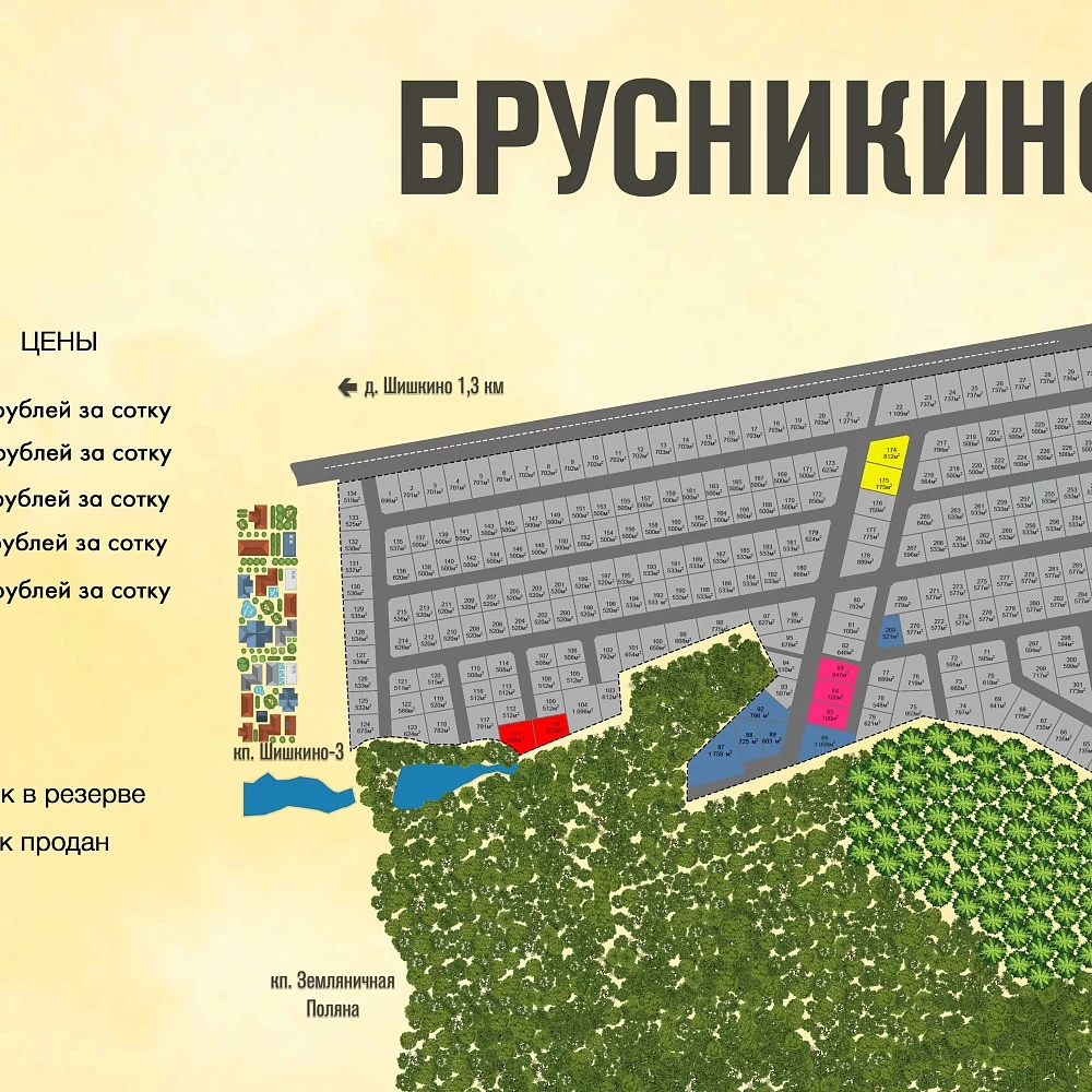 План поселка Брусникино