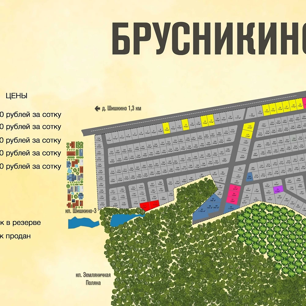 План поселка Брусникино