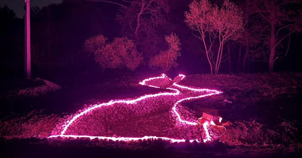 Новости о посёлке Подсветка в общественной зоне поселка