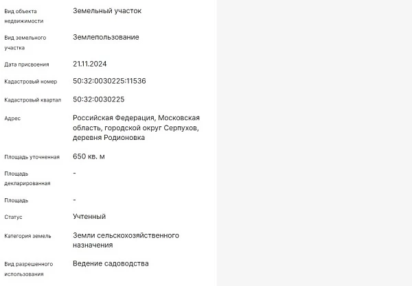 Скрин ЕГРН Онлайн