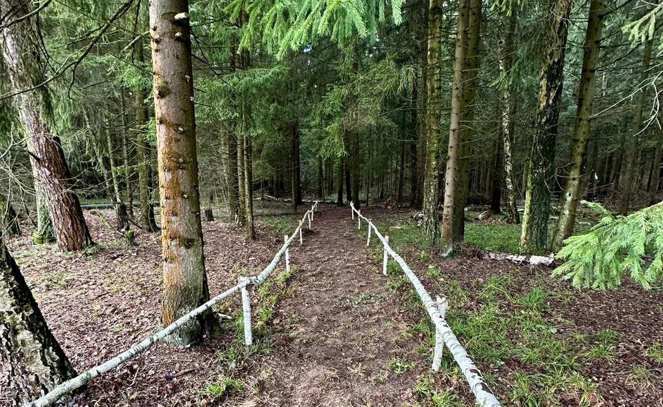 Новости о посёлке Эко-тропа в Лесном острове