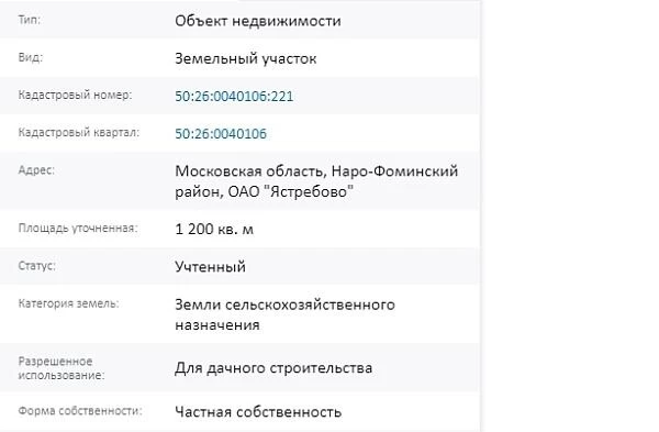 Скрин ЕГРН Онлайн